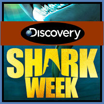 Shark Week 2024